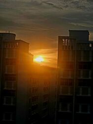 Blk 505D Acacia Breeze @ Yishun (Yishun), HDB 4 Rooms #463541071